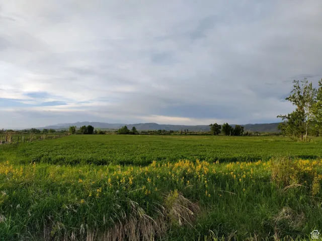 302 4th, Dingle, Idaho 83233