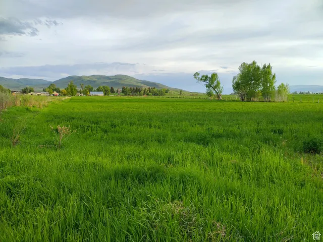 302 4th, Dingle, Idaho 83233