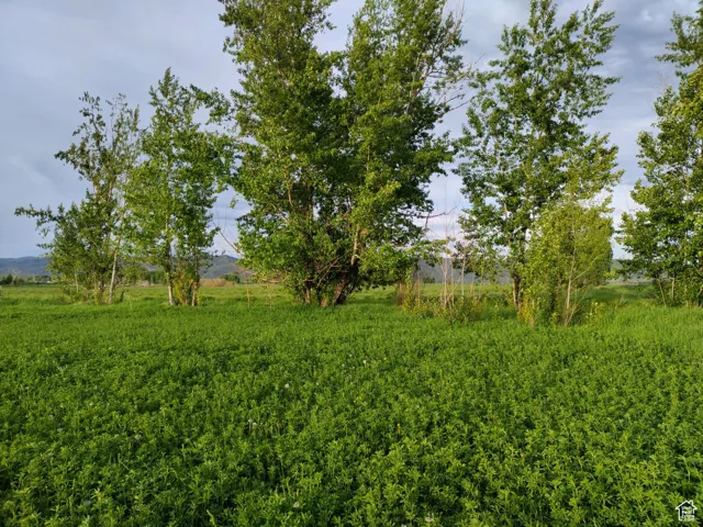 302 4th, Dingle, Idaho 83233