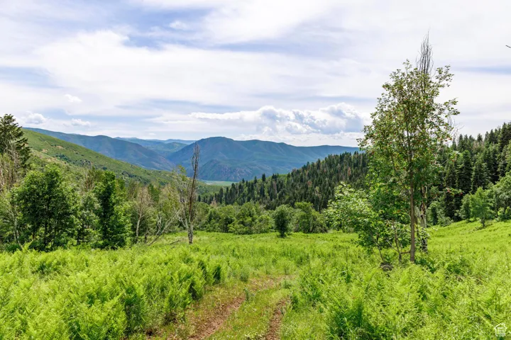 533 N Left Fork Hobble Creek Cyn, Springville, Utah 84663