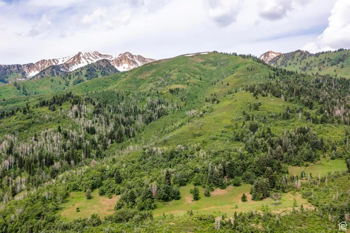 533 N Left Fork Hobble Creek Cyn, Springville, Utah 84663