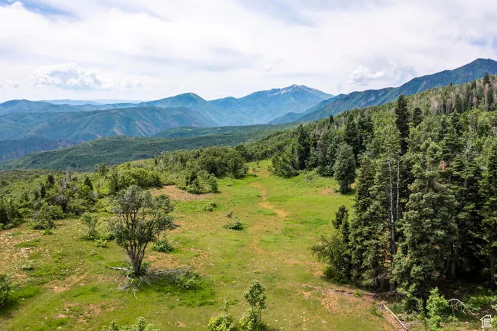 533 N Left Fork Hobble Creek Cyn, Springville, Utah 84663