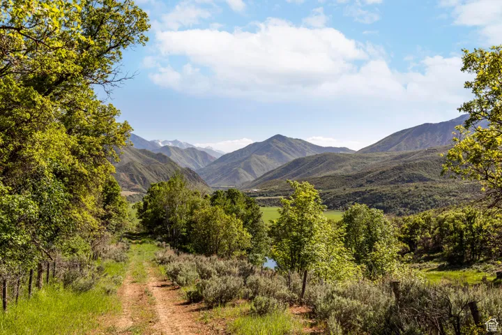 533 N Left Fork Hobble Creek Cyn, Springville, Utah 84663