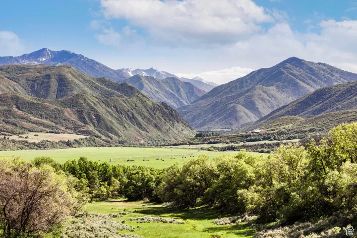 533 N Left Fork Hobble Creek Cyn, Springville, Utah 84663