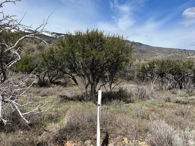 971 W Cisco Run, Garden City, Utah 84028