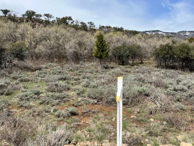 975 W Cisco Run, Garden City, Utah 84028