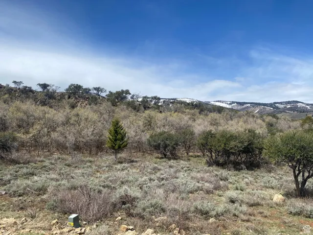 975 W Cisco Run, Garden City, Utah 84028