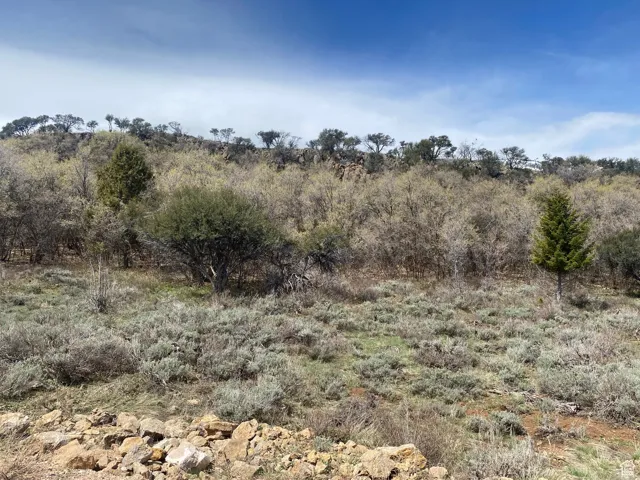 975 W Cisco Run, Garden City, Utah 84028