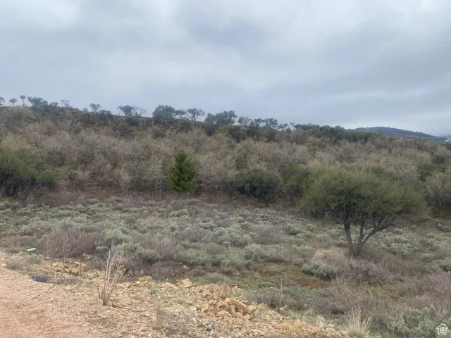 View of landscape
