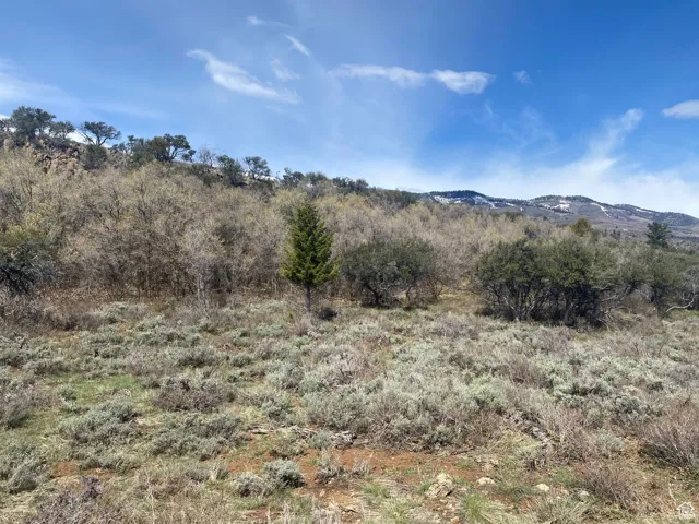975 W Cisco Run, Garden City, Utah 84028