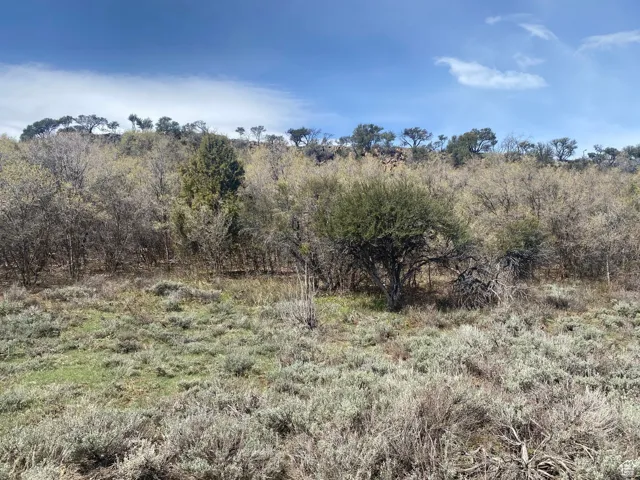 975 W Cisco Run, Garden City, Utah 84028