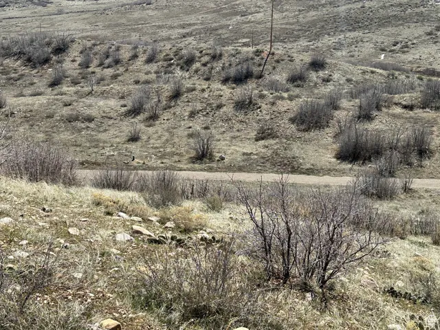 62 E Big Hollow Rd, Indianola, Utah 84629