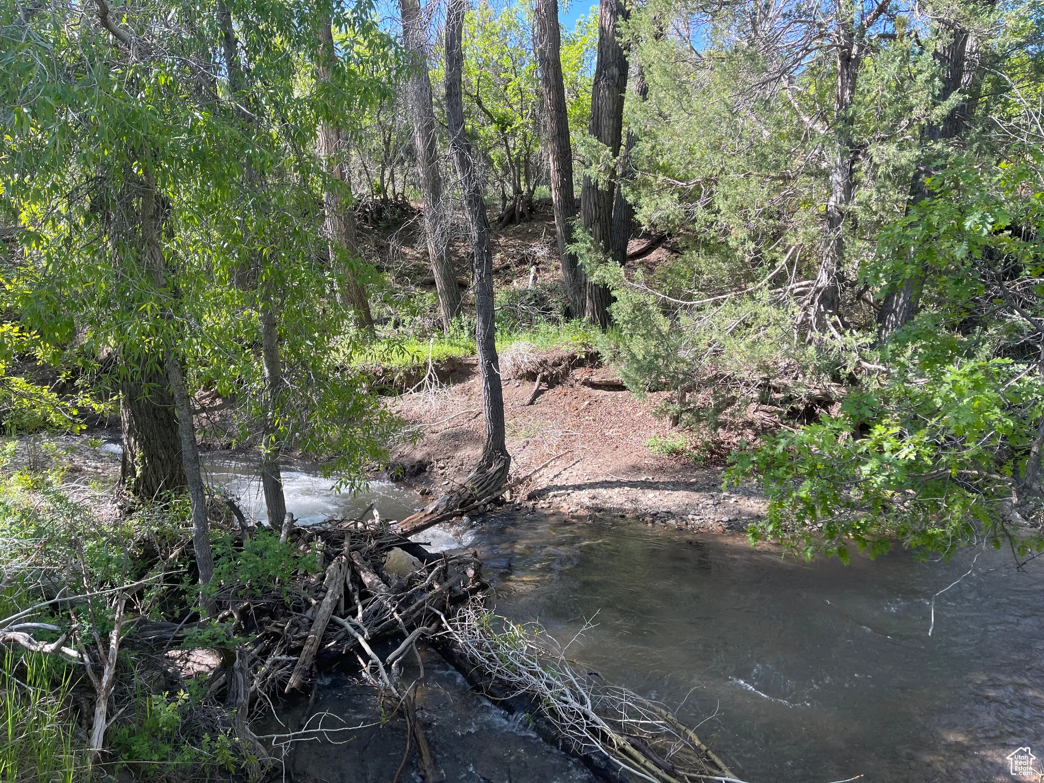 View of yard with a water view