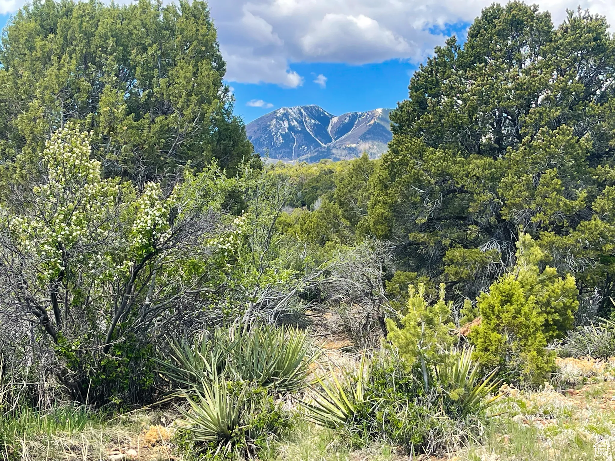 View of mountain feature
