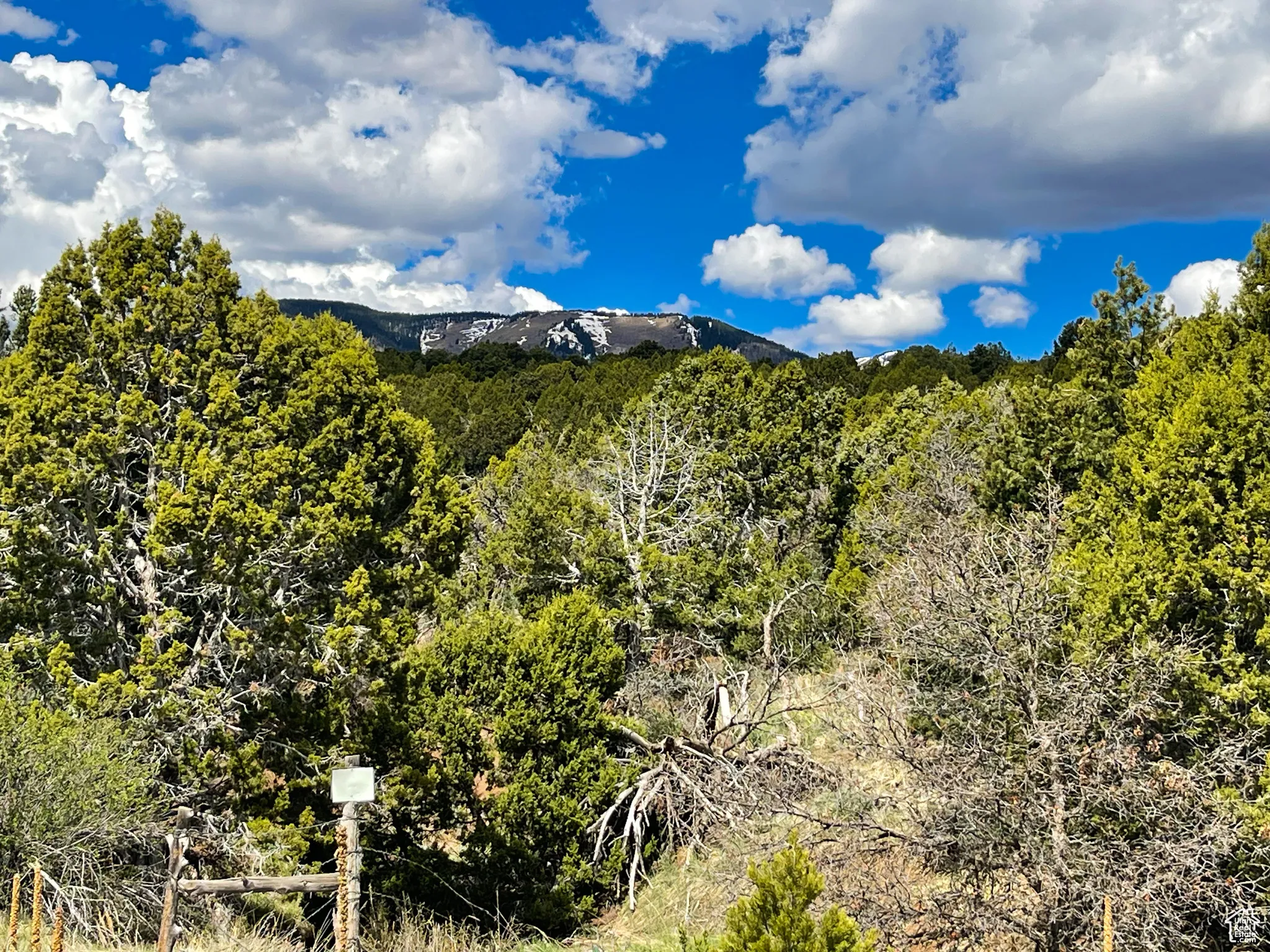 View of property view of mountains