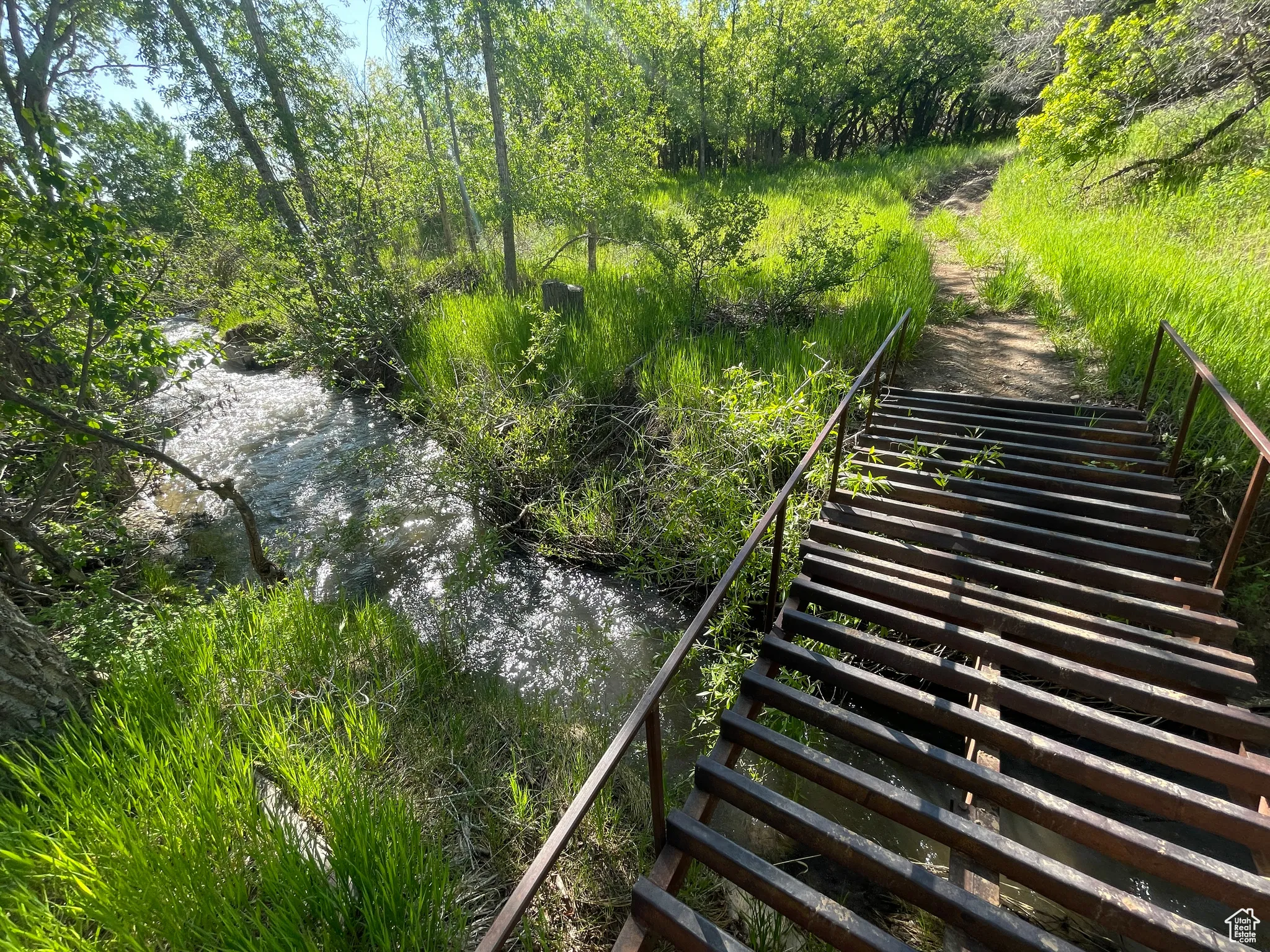 PUBLIC LAND - Bordering the acreage.