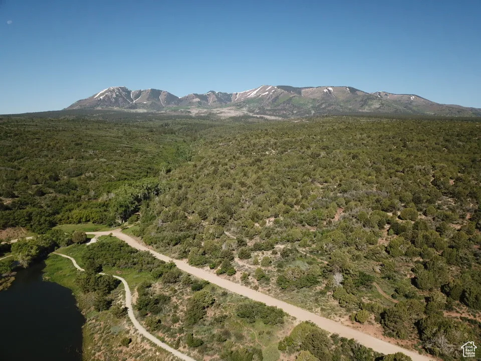 Birds eye view of property with a mountain view