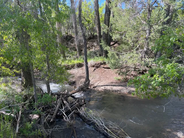 View of yard with a water view