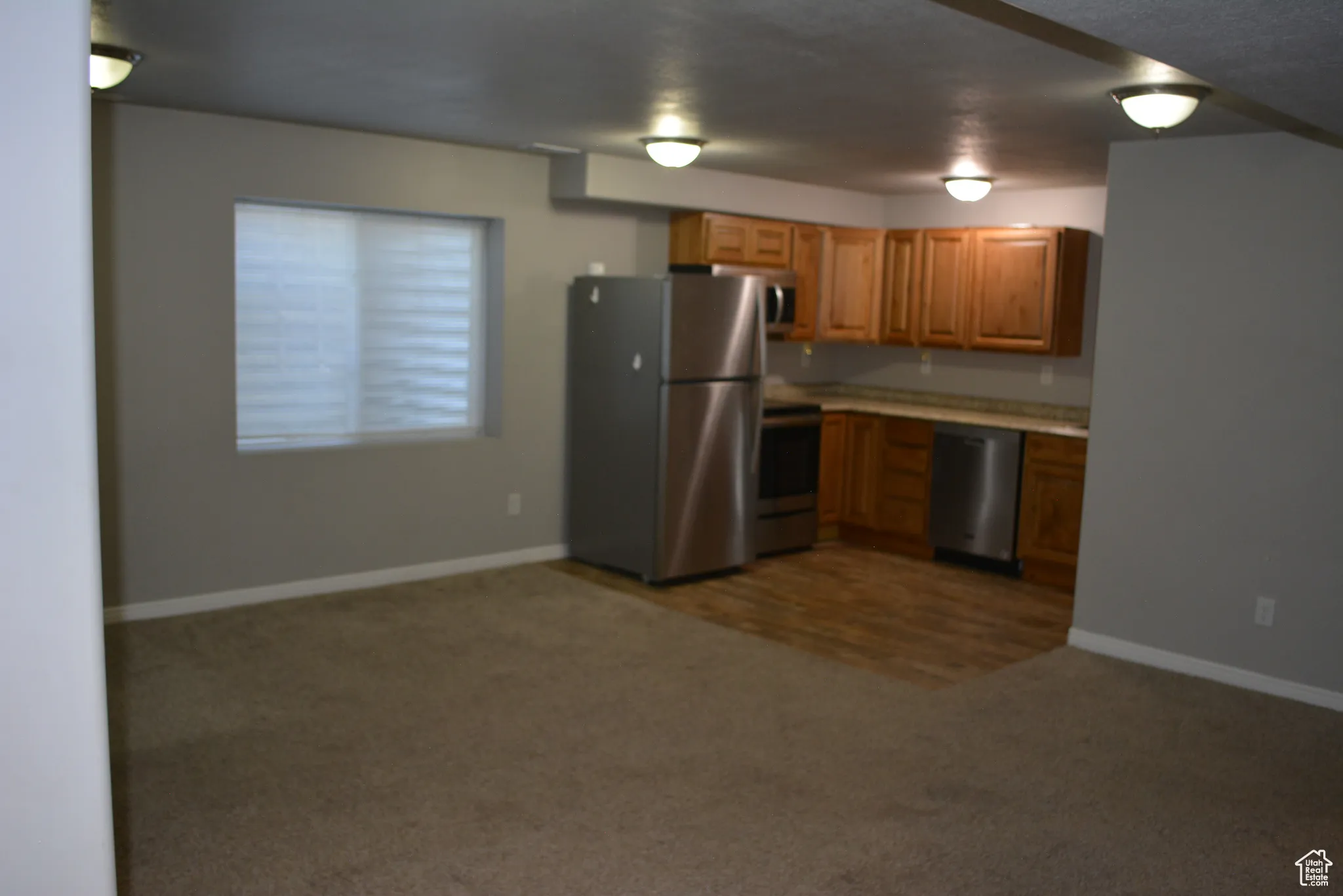 Basement Kitchenette and Family Room