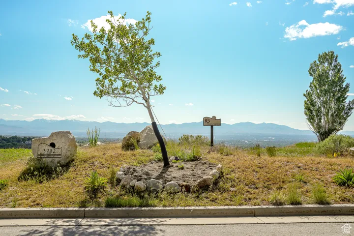 Mountain view