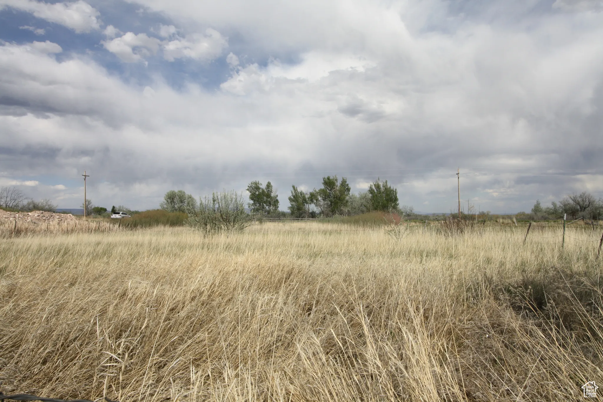 View of local wilderness with a rural view