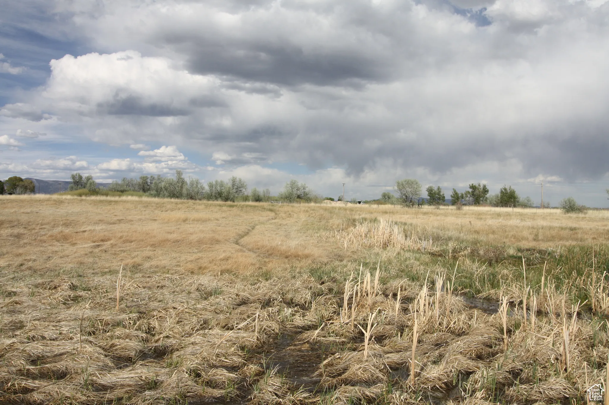 View of local wilderness featuring a rural view
