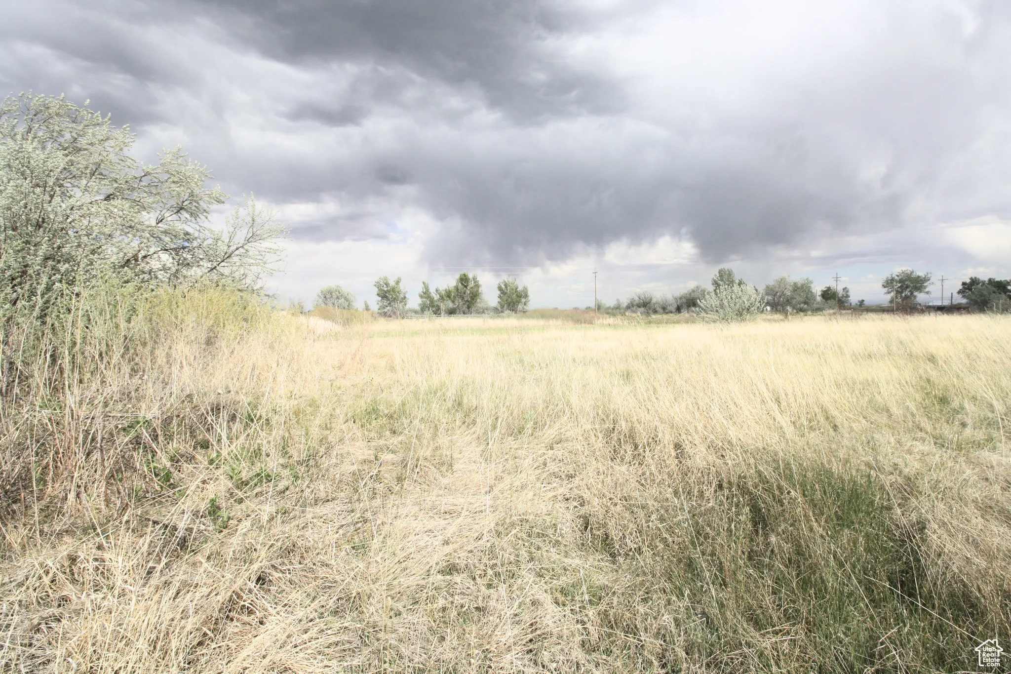 View of nature with a rural view