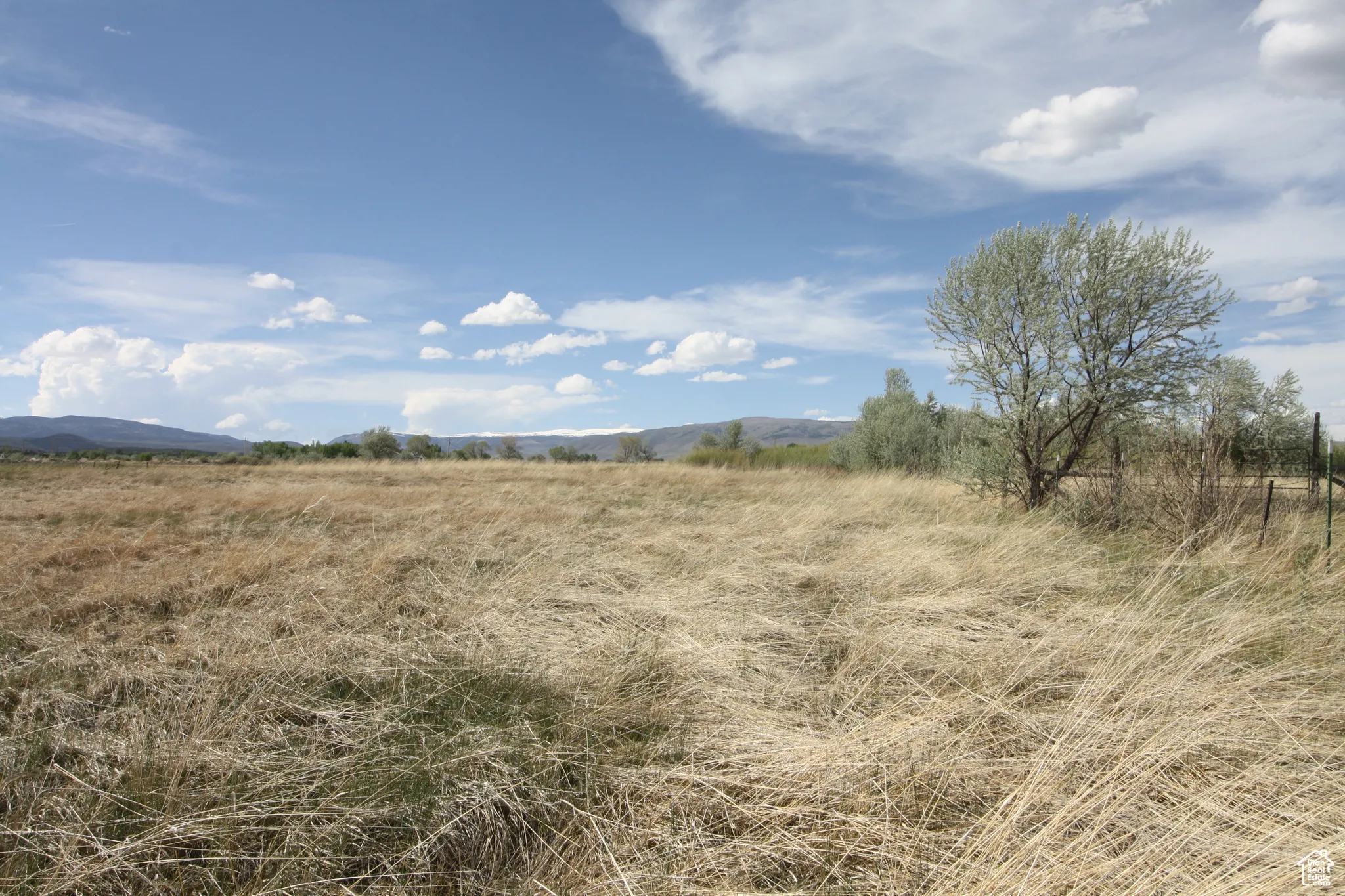 View of local wilderness with a rural view