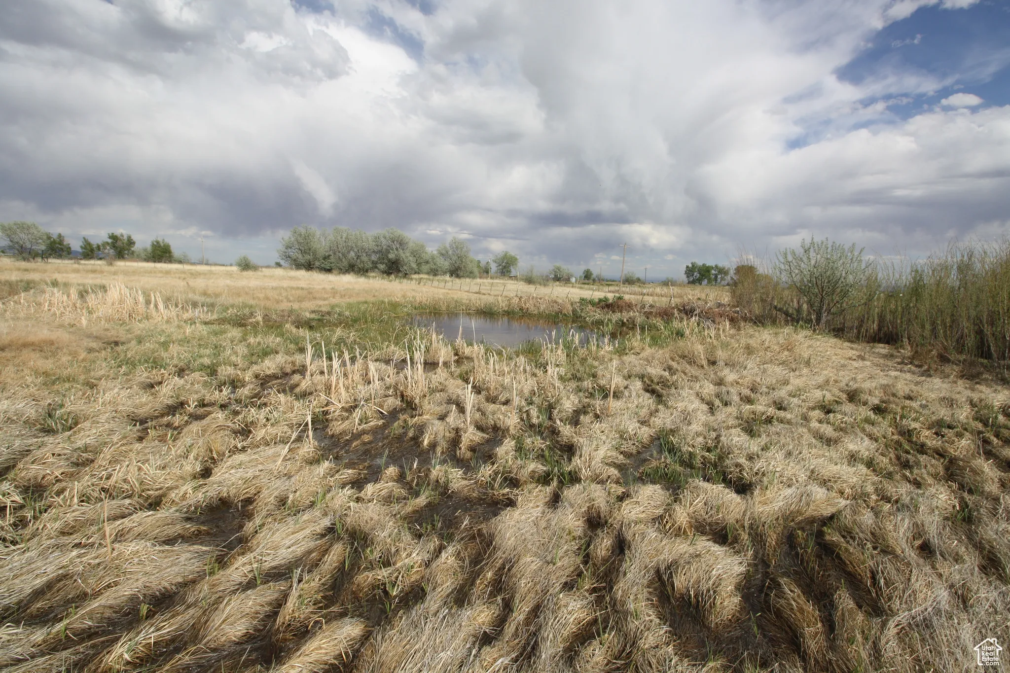 View of nature featuring a rural view