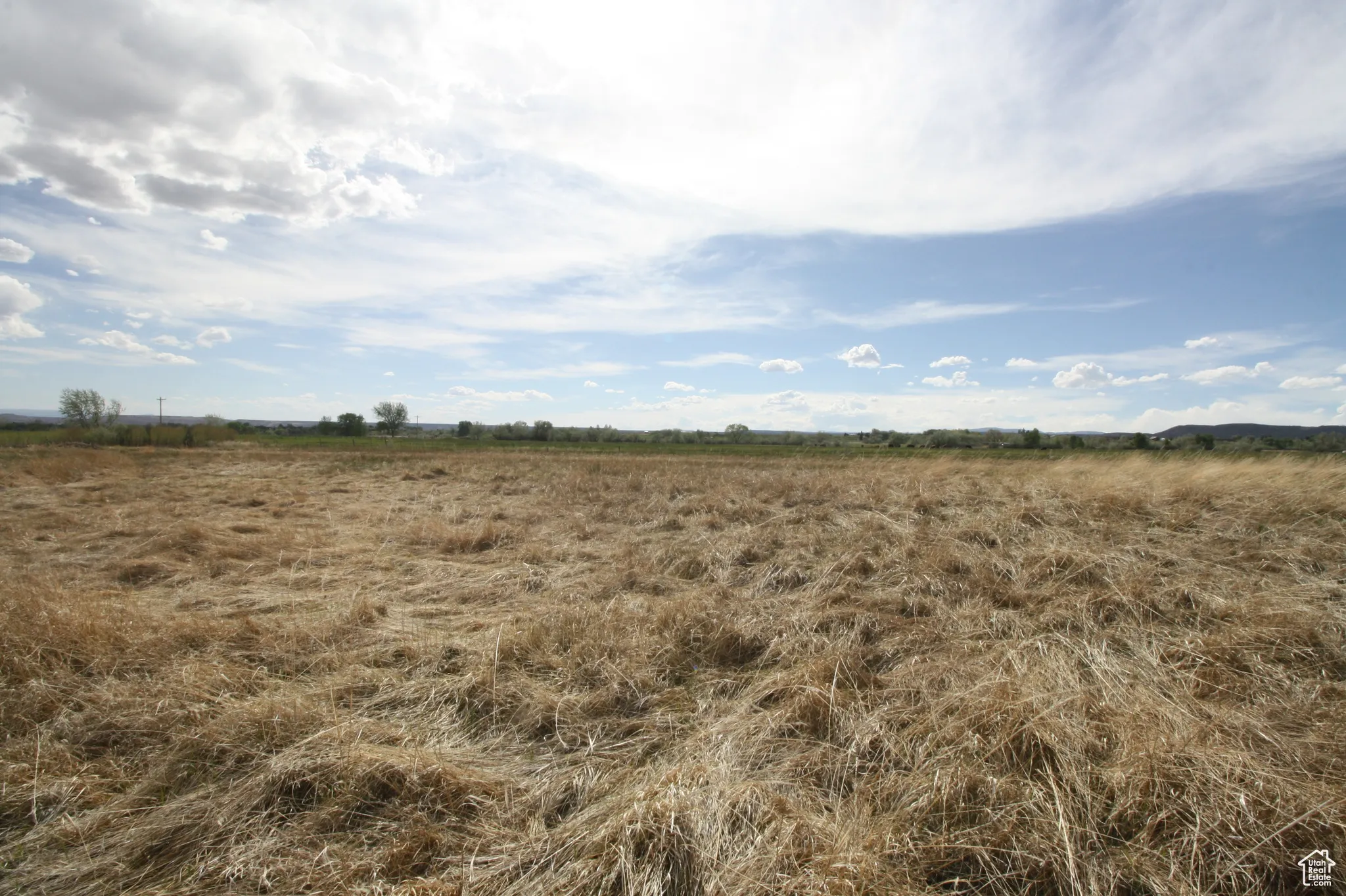 View of local wilderness with a rural view