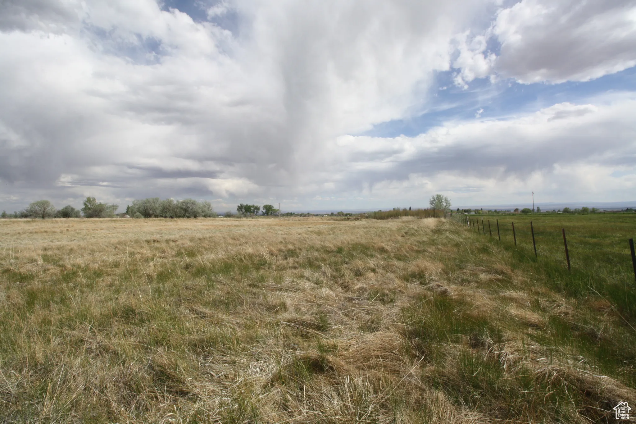 View of local wilderness featuring a rural view