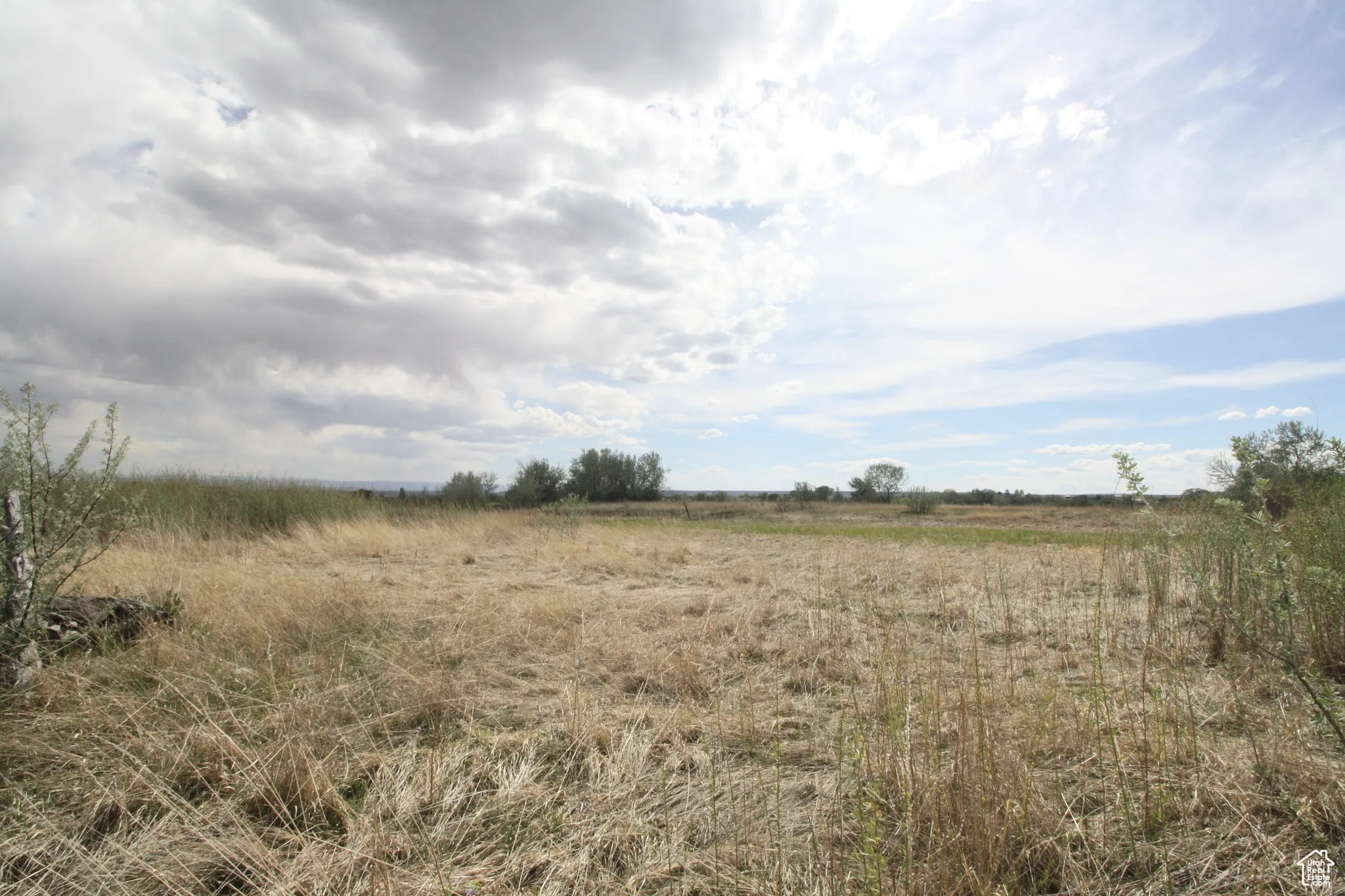View of nature with a rural view