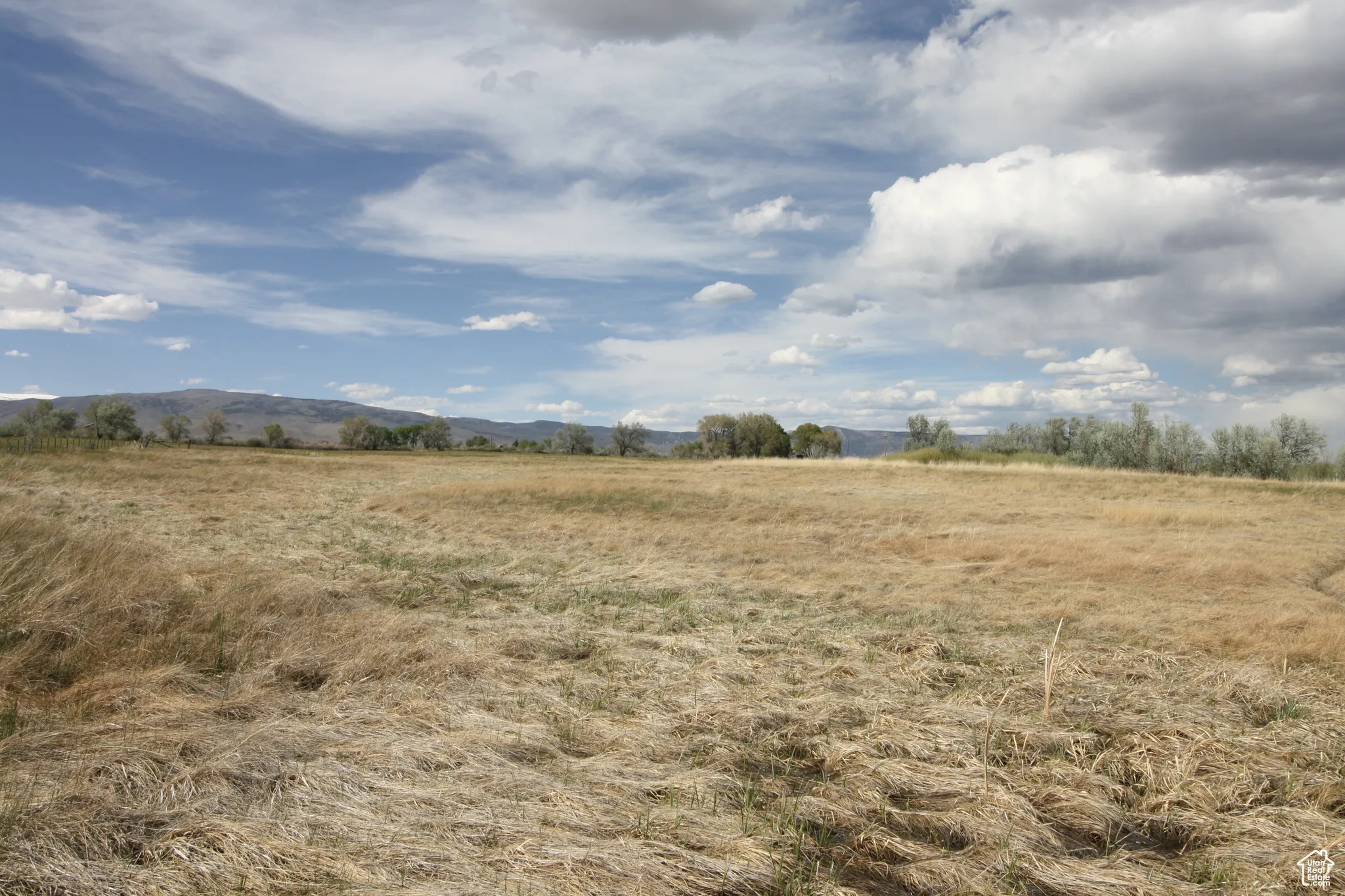 View of local wilderness featuring a rural view