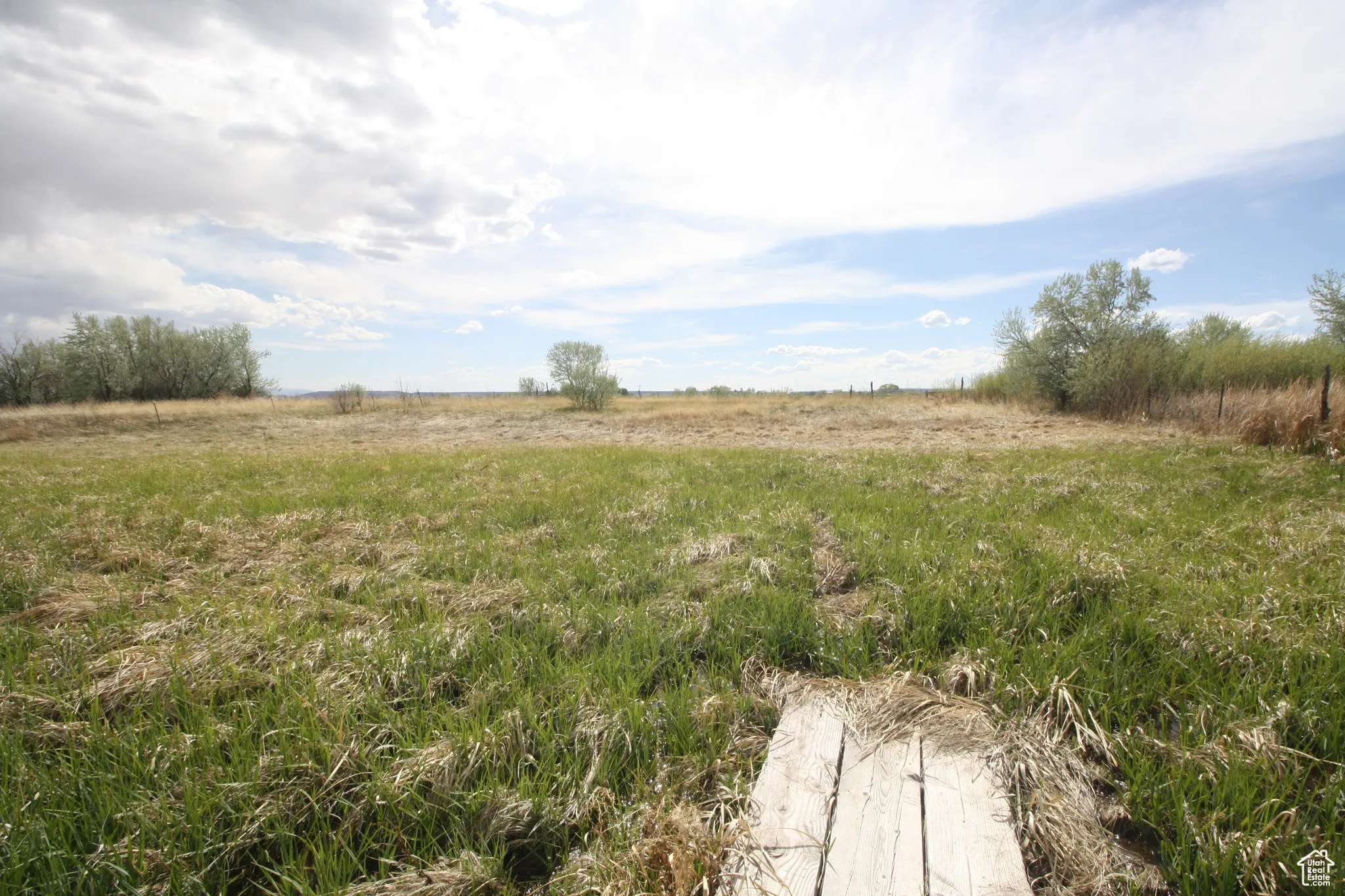 View of yard with a rural view