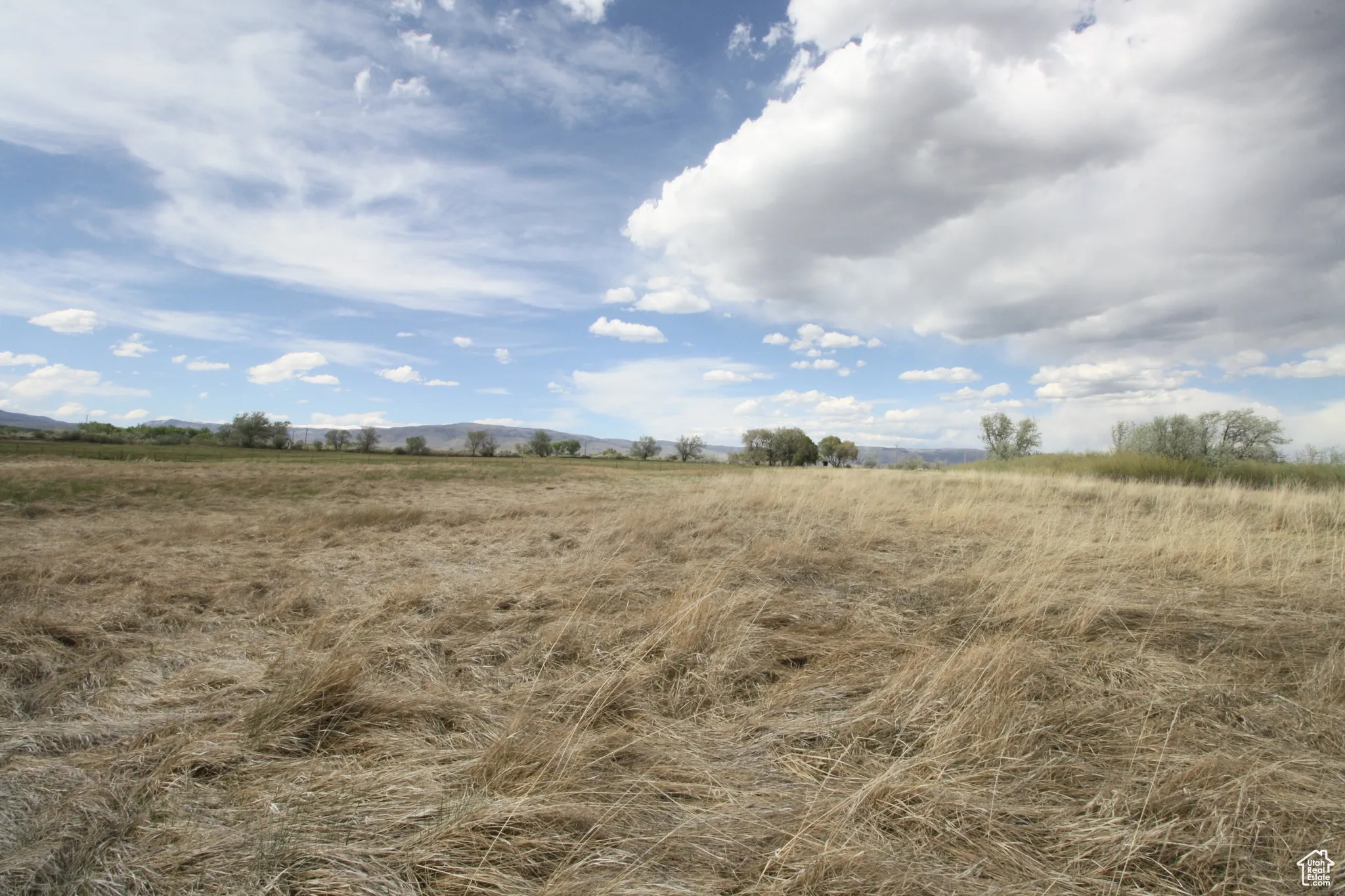 View of local wilderness with a rural view