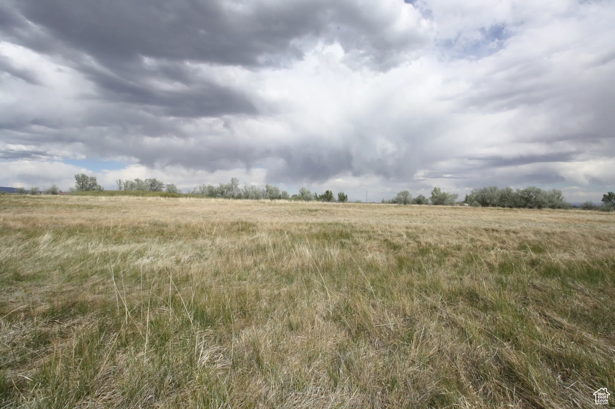 View of nature featuring a rural view