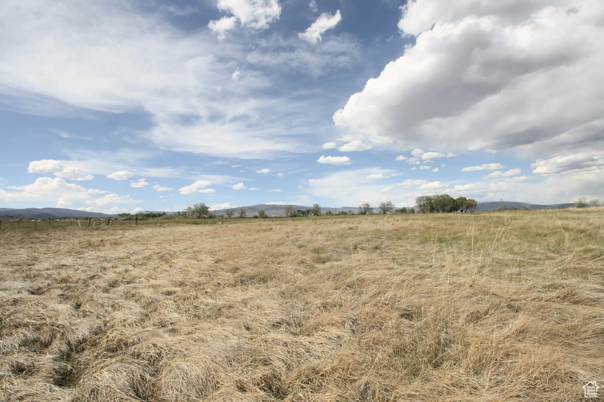 View of local wilderness with a rural view