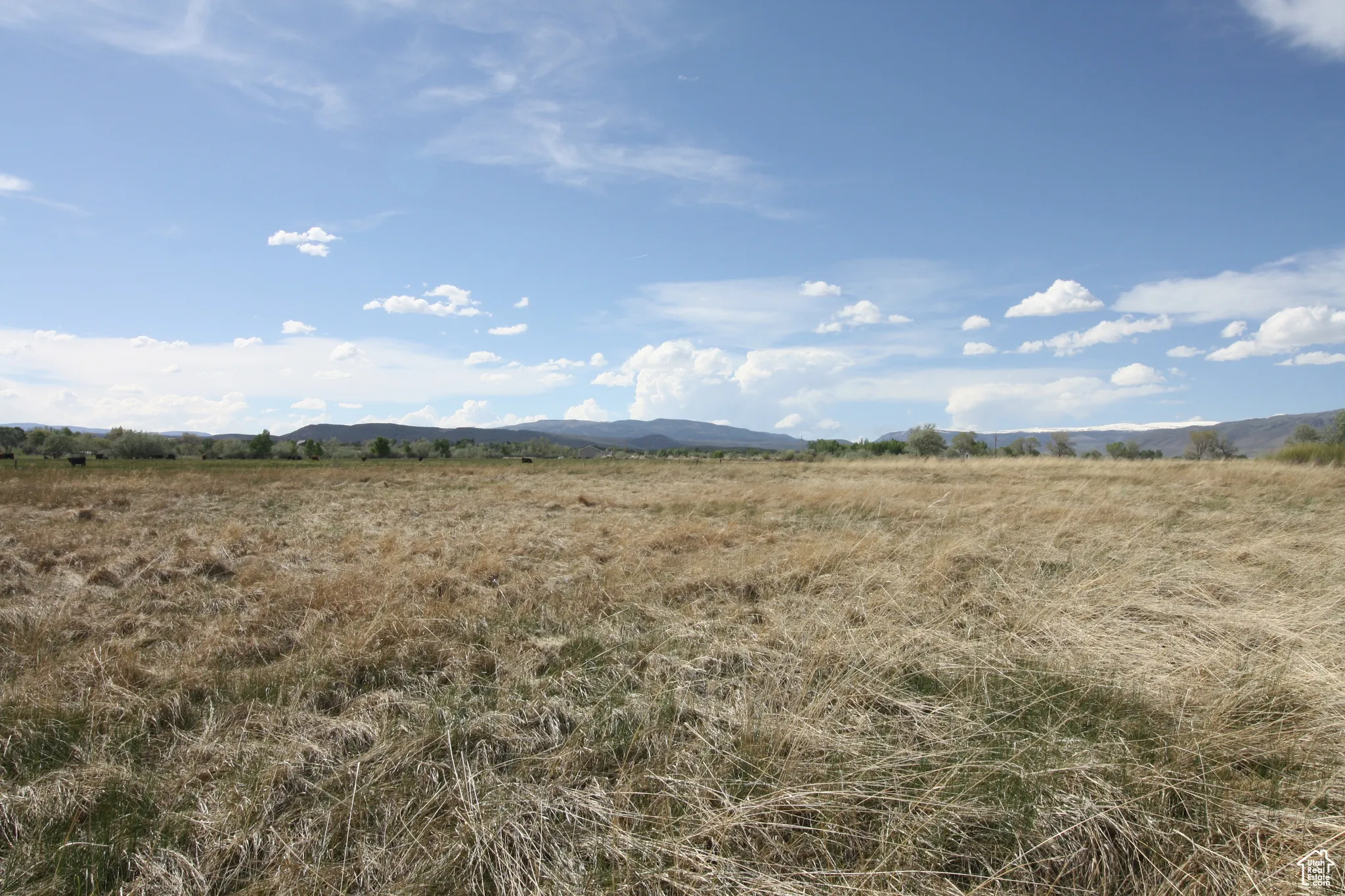 View of nature featuring a rural view