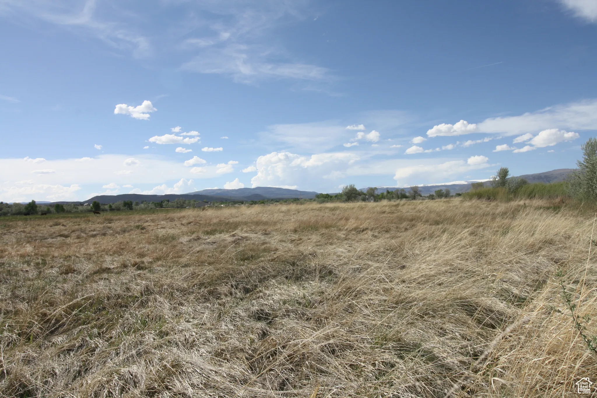 View of nature with a rural view