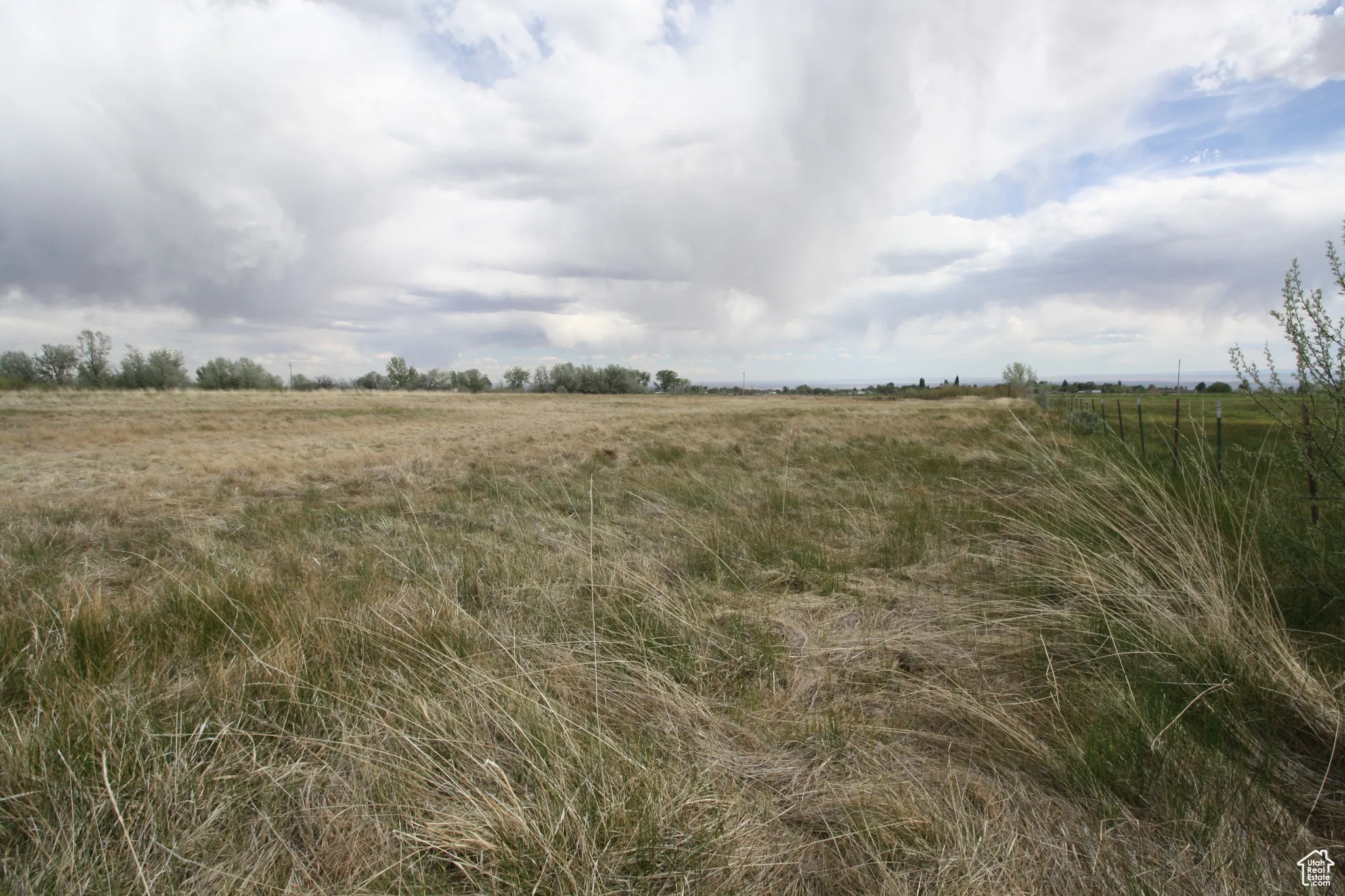 View of local wilderness with a rural view