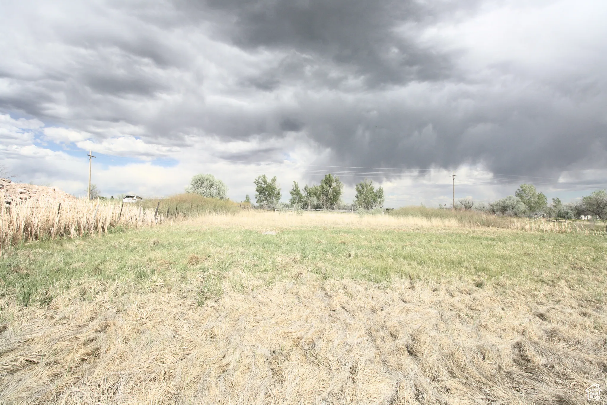 View of local wilderness featuring a rural view