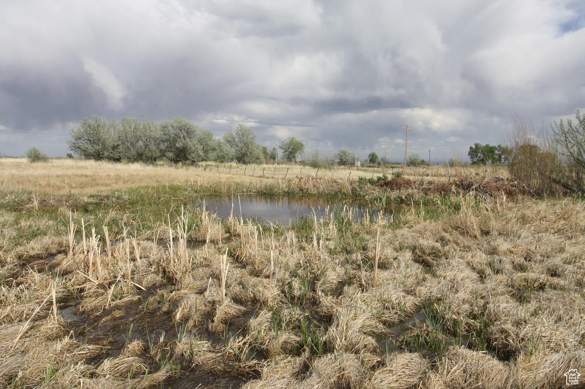 View of nature featuring a rural view and a water view