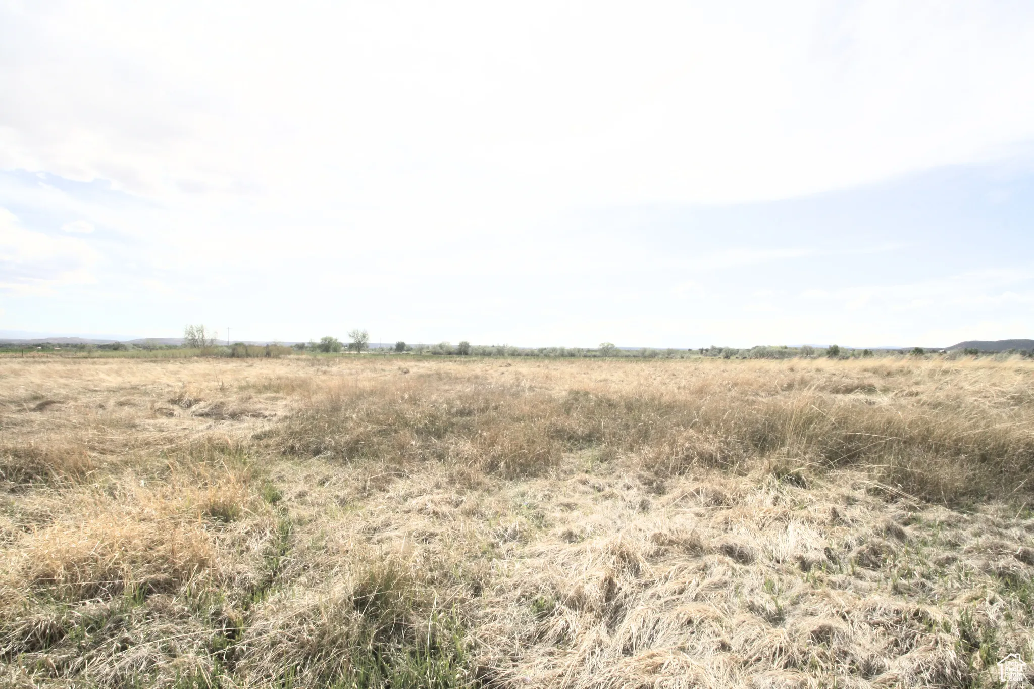 View of local wilderness with a rural view