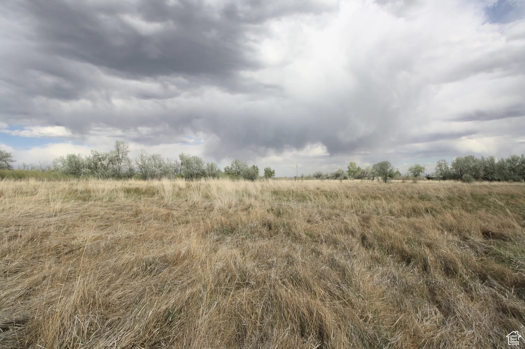 View of nature with a rural view
