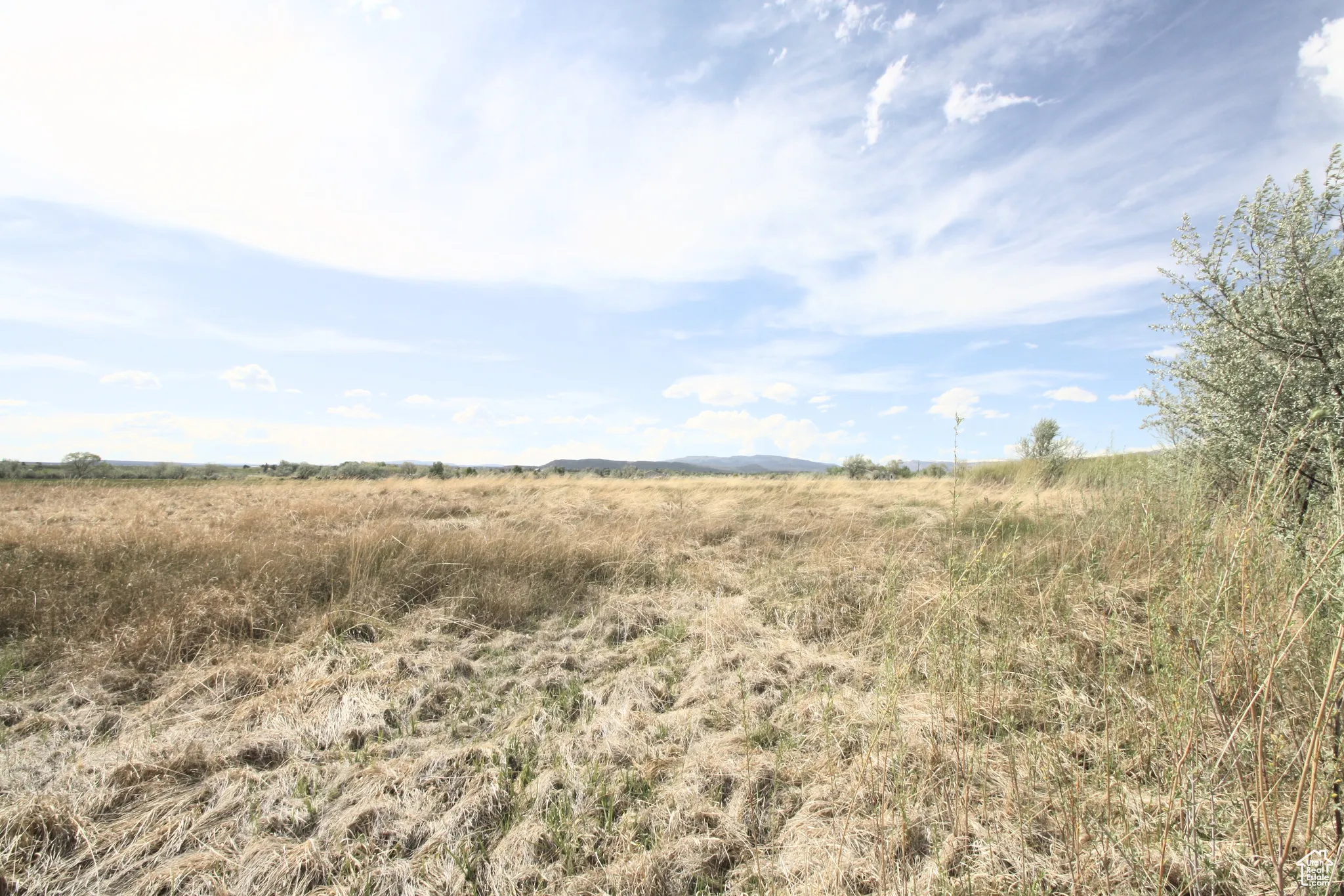 View of nature featuring a rural view
