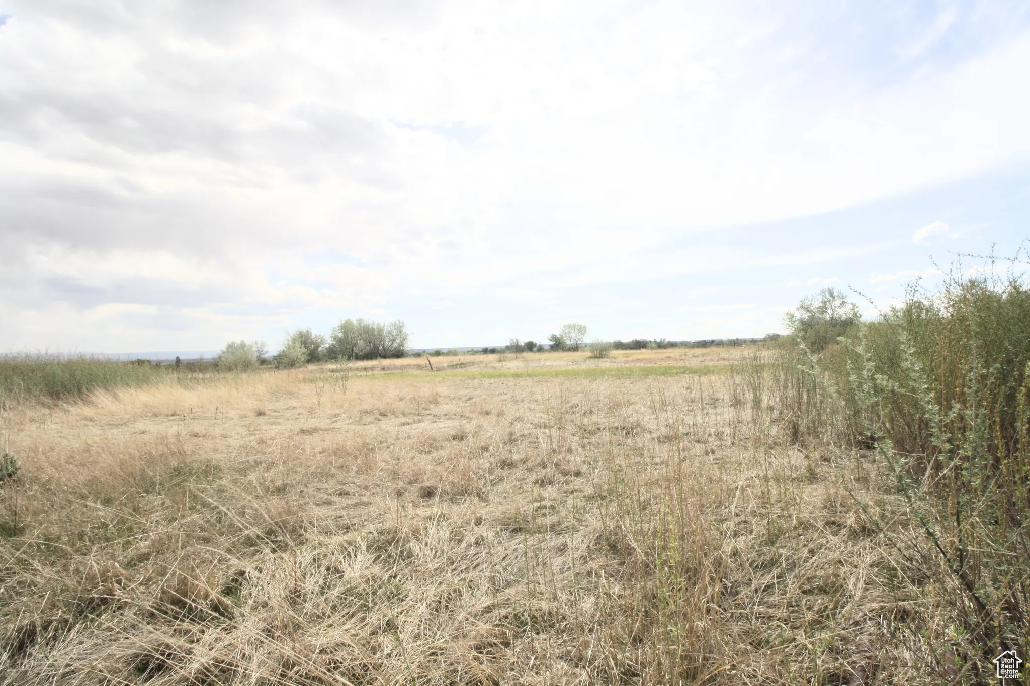 View of local wilderness with a rural view