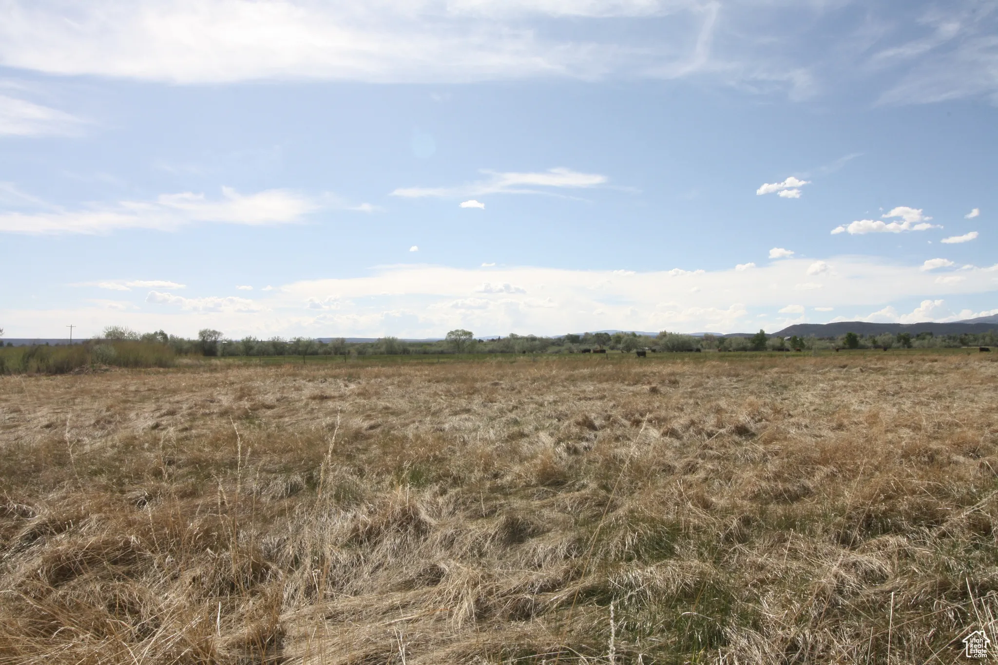View of nature featuring a rural view