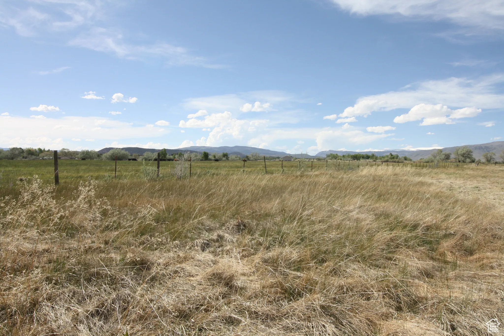 View of local wilderness featuring a rural view