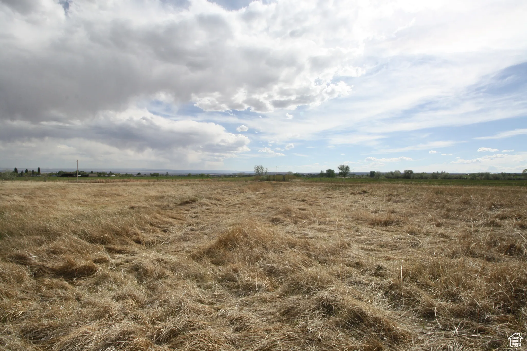 View of local wilderness with a rural view