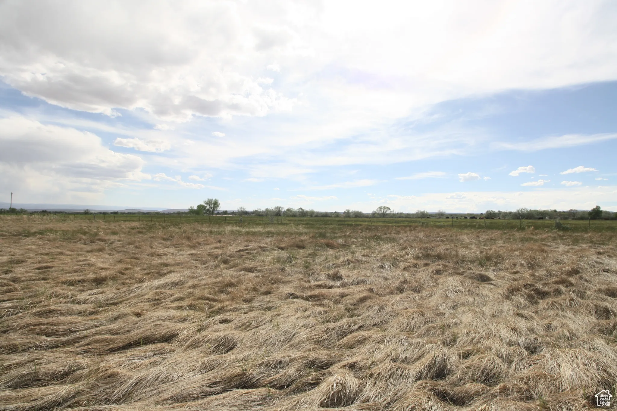 View of nature with a rural view